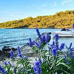 Gemini Luxus Pool Und Meerblick Punta Kriza Villa Nerezine