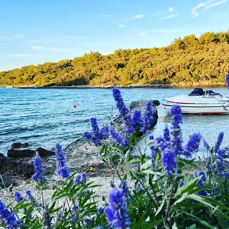 Stunning In Cres - Losinj וילה נזרין