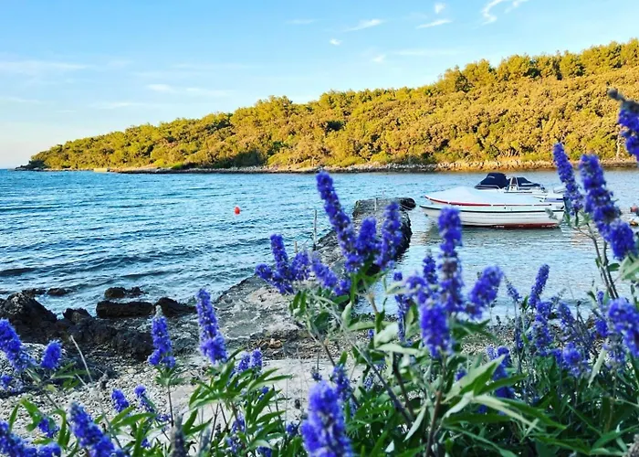 Stunning In Cres - Losinj فيلة نيغيزيني